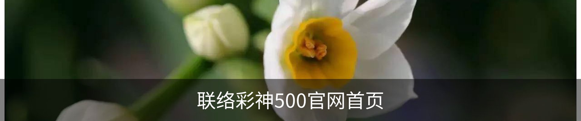 联络彩神500官网首页